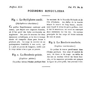 Ad00341 05 010a02.jpg