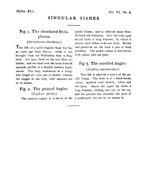 Ad00341 05 010a03.jpg