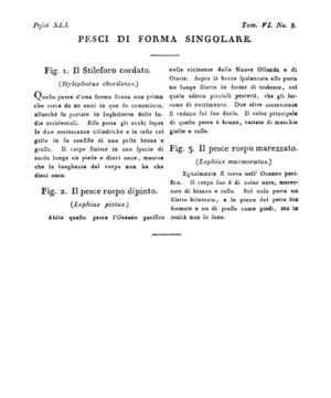 Ad00341 05 010a04.jpg