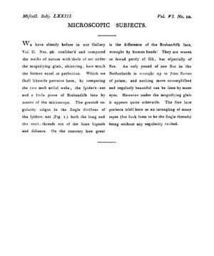 Ad00341 05 012a03.jpg