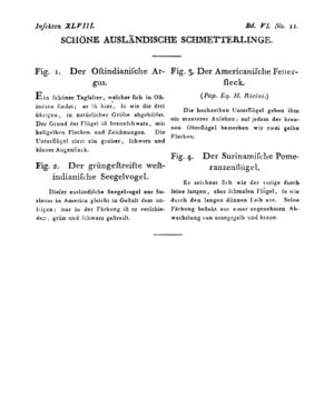 Ad00341 05 013a01.jpg