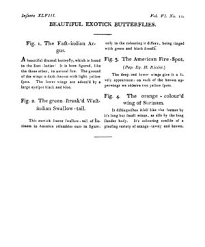 Ad00341 05 013a03.jpg