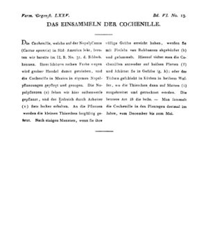 Ad00341 05 015a01.jpg
