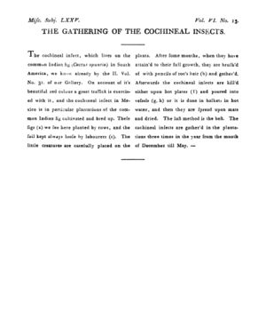 Ad00341 05 015a03.jpg