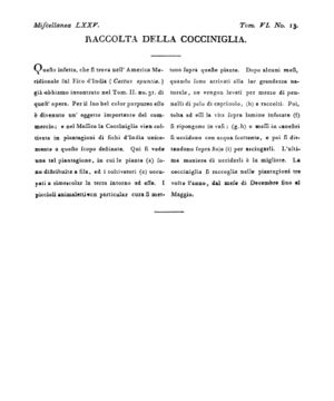 Ad00341 05 015a04.jpg