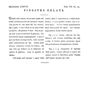 Ad00341 05 017a04.jpg