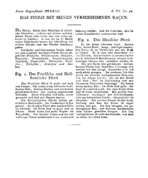 Ad00341 05 023a01.jpg