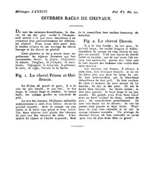 Ad00341 05 023a02.jpg