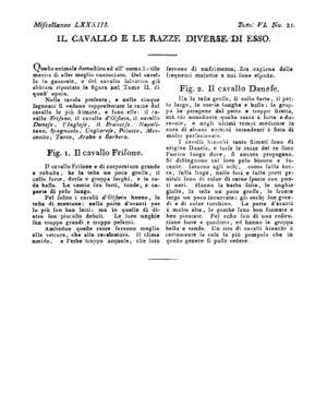 Ad00341 05 023a04.jpg