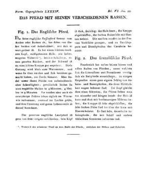 Ad00341 05 024a01.jpg