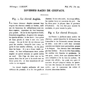 Ad00341 05 024a02.jpg
