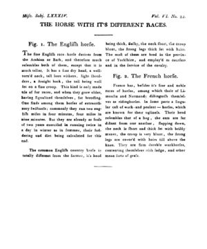 Ad00341 05 024a03.jpg