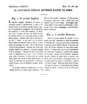 Ad00341 05 024a04.jpg