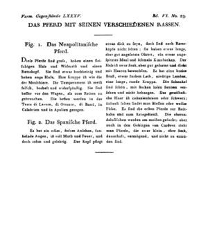 Ad00341 05 025a01.jpg