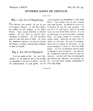 Ad00341 05 025a02.jpg