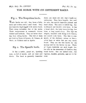 Ad00341 05 025a03.jpg