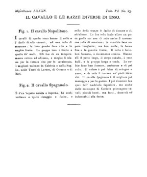 Ad00341 05 025a04.jpg