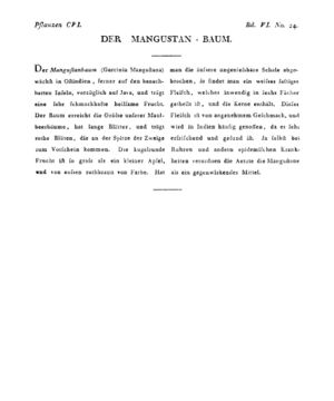 Ad00341 05 026a01.jpg