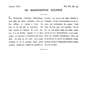 Ad00341 05 026a02.jpg