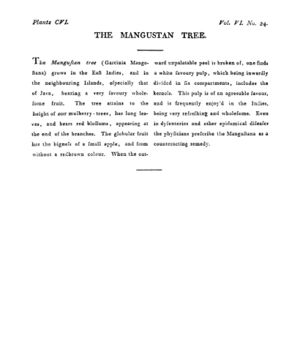 Ad00341 05 026a03.jpg