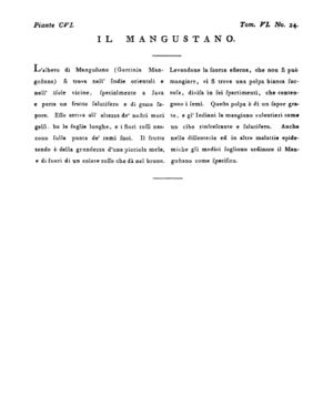 Ad00341 05 026a04.jpg