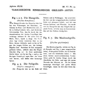 Ad00341 05 027a01.jpg