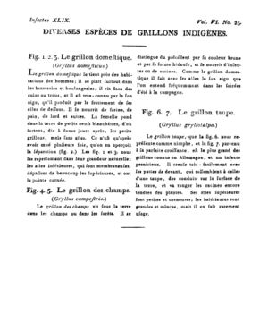 Ad00341 05 027a02.jpg