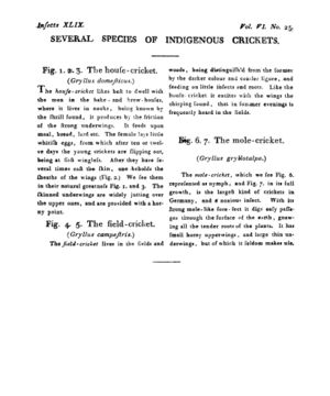Ad00341 05 027a03.jpg
