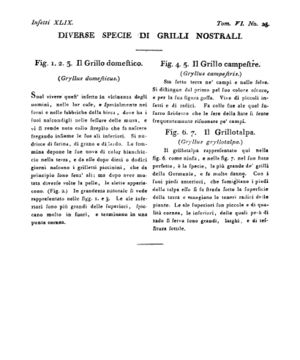 Ad00341 05 027a04.jpg