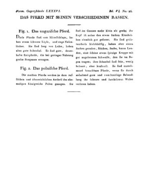 Ad00341 05 028a01.jpg