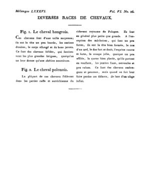 Ad00341 05 028a02.jpg