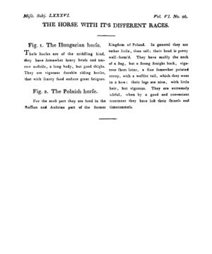 Ad00341 05 028a03.jpg