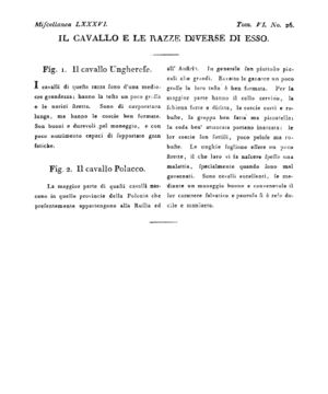 Ad00341 05 028a04.jpg
