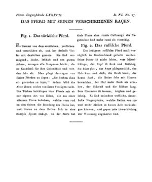 Ad00341 05 029a01.jpg