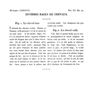 Ad00341 05 029a02.jpg