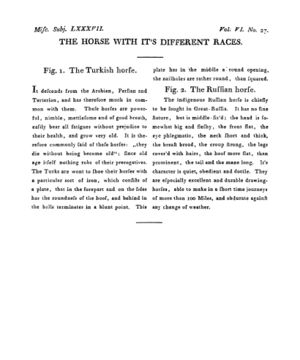 Ad00341 05 029a03.jpg