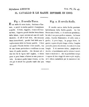 Ad00341 05 029a04.jpg