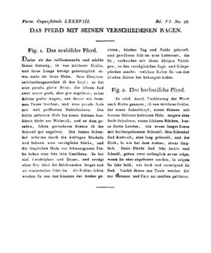 Ad00341 05 030a01.jpg