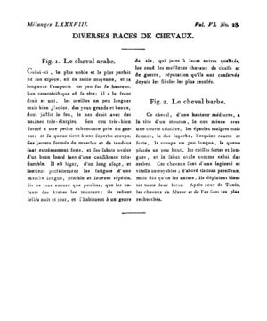 Ad00341 05 030a02.jpg