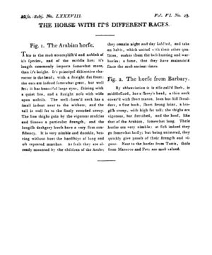 Ad00341 05 030a03.jpg