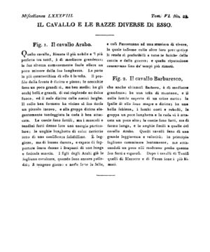 Ad00341 05 030a04.jpg