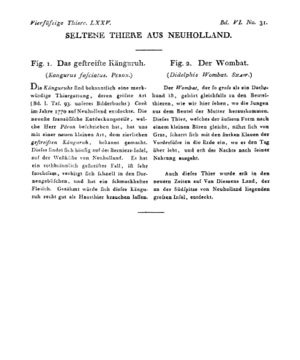 Ad00341 05 033a01.jpg