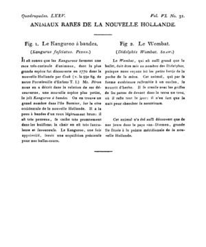 Ad00341 05 033a02.jpg