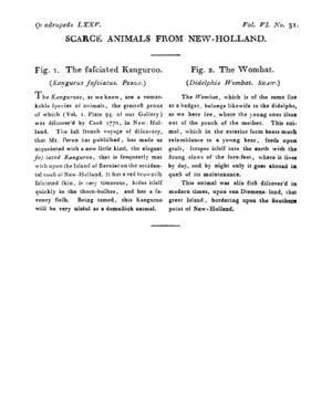 Ad00341 05 033a03.jpg