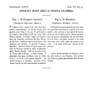 Ad00341 05 033a04.jpg