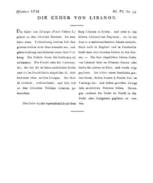 Ad00341 05 035a01.jpg