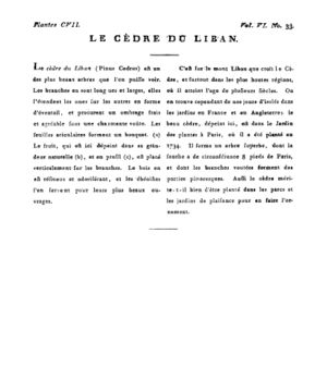 Ad00341 05 035a02.jpg