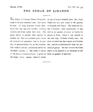 Ad00341 05 035a03.jpg