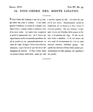 Ad00341 05 035a04.jpg