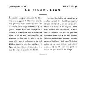 Ad00341 05 038a02.jpg